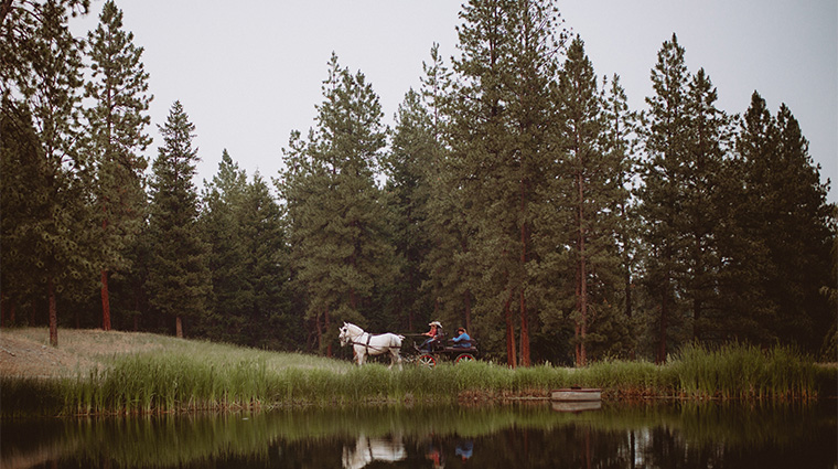 river view ranch cocktail carriage ride