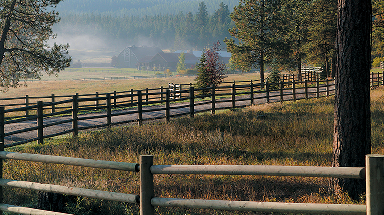 the resort at paws up misty